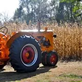 Sherman's Pumpkin Farm and Corn Maze photo