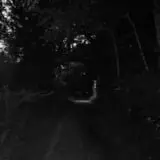 Allen's Haunted Hayride & Tavern of Terror photo
