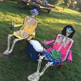 Happy Jack's Pumpkin Farm photo