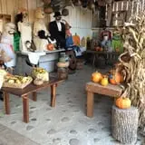 Happy Jack's Pumpkin Farm photo