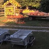 Happy Jack's Pumpkin Farm photo