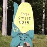 Happy Jack's Pumpkin Farm photo
