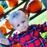 Happy Jack's Pumpkin Farm photo