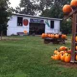 Happy Jack's Pumpkin Farm photo