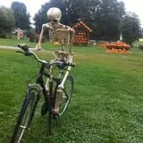 Happy Jack's Pumpkin Farm photo