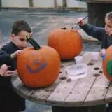 Happy Jack's Pumpkin Farm photo