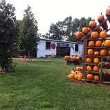 Happy Jack's Pumpkin Farm photo