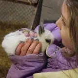 The Petting Farm photo