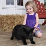 The Petting Farm photo