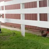 The Petting Farm photo