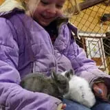 The Petting Farm photo