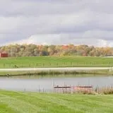 The Petting Farm photo