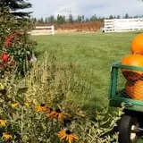 Sweet Pickin's Pumkin Patch photo