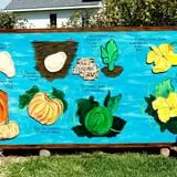 Sweet Pickin's Pumkin Patch photo