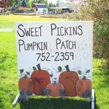 Sweet Pickin's Pumkin Patch photo