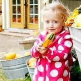 Sweet Pickin's Pumkin Patch photo