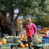 Sweet Pickin's Pumkin Patch photo