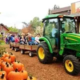 Sweet Pickin's Pumkin Patch photo