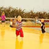 Sweet Pickin's Pumkin Patch photo