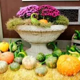 Sweet Pickin's Pumkin Patch photo