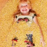 Sweet Pickin's Pumkin Patch photo