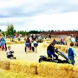 Sweet Pickin's Pumkin Patch photo