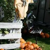 Sweet Pickin's Pumkin Patch photo