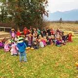 Sweet Pickin's Pumkin Patch photo