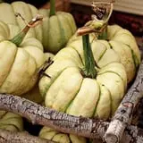 Sweet Pickin's Pumkin Patch photo