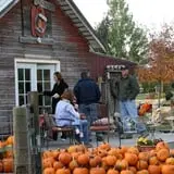 Sweet Pickin's Pumkin Patch photo