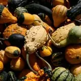 Sweet Pickin's Pumkin Patch photo