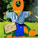 Sweet Pickin's Pumkin Patch photo