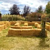 Sweet Pickin's Pumkin Patch photo