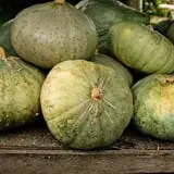 Sweet Pickin's Pumkin Patch photo
