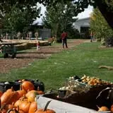 Sweet Pickin's Pumkin Patch photo
