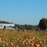Walker Farm photo