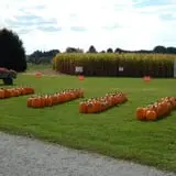 Walker Farm photo
