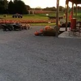 Walker Farm photo