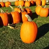 Walker Farm photo