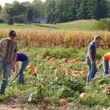 Walker Farm photo