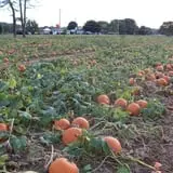 Walker Farm photo