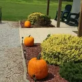 Walker Farm photo