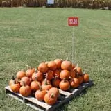 Walker Farm photo