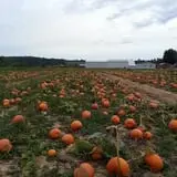 Walker Farm photo