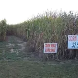 Walker Farm photo