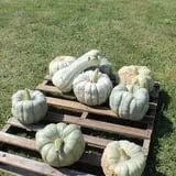 Walker Farm photo