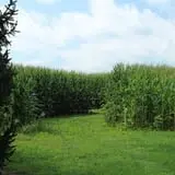 Walker Farm photo