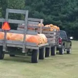 Walker Farm photo
