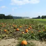 Walker Farm photo