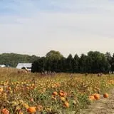 Walker Farm photo